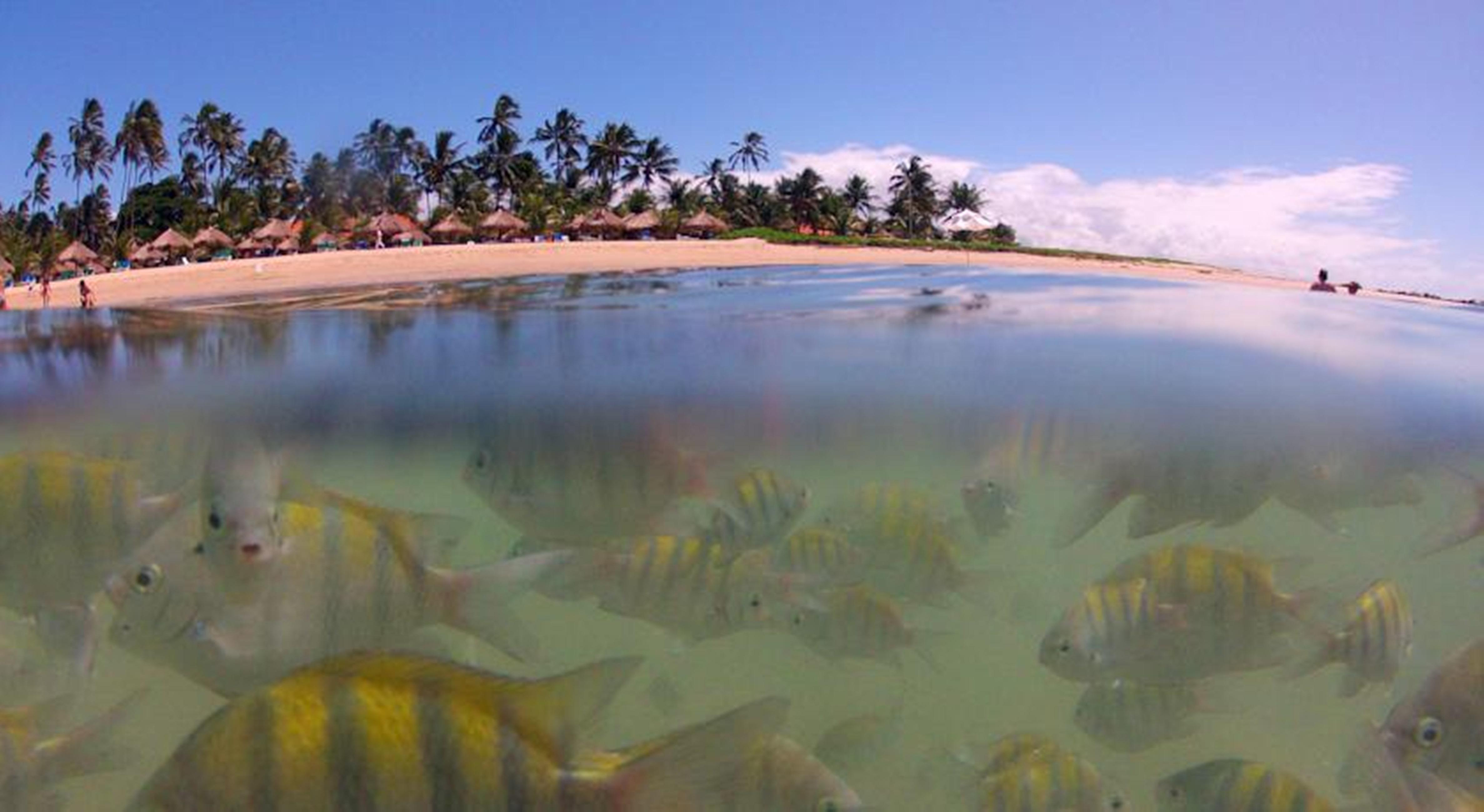 Serrambi Resort Pôrto das Galinhas Udogodnienia zdjęcie